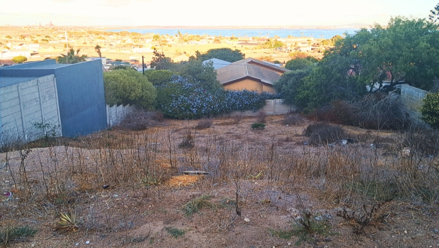 0 Bedroom Property for Sale in Saldanha Western Cape